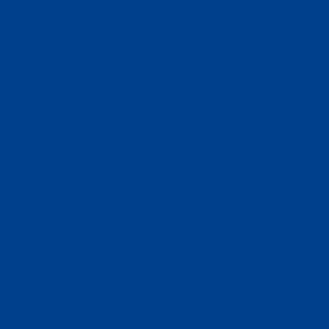 Cobalt Blue Oracal 651 permanent adhesive vinyl 12X12 sheet