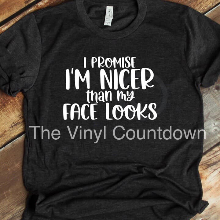 Screen printed transfer- I Promise I'm Nicer Than My Face Looks