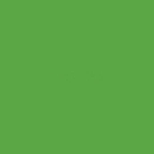 Lime Tree Green Oracal 651 permanent adhesive vinyl 12X12 sheet