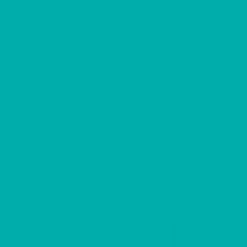 Turquoise Oracal 651 permanent adhesive vinyl 12X12 sheet